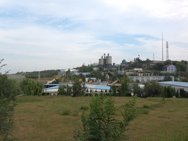 沙河市军辉胶固粉有限公司